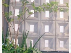 -霸王茶姬(正佳广场店)