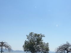 -鹰龙海畔度假酒店(咸祥店)