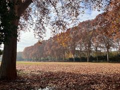 -河南省黄河迎宾馆