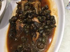 螺丝烧黄牛-城北食府(枫林店)