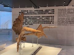 -北京周口店北京人遗址博物馆