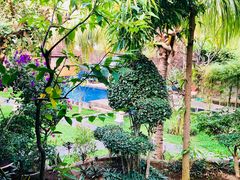 -飞鱼&摩娜潜水度假村