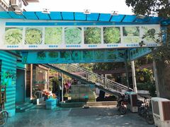 -杨厝六十六农庄农舍(杨厝路店)