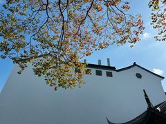 -万达影城(银兴菲林店)