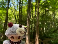 -西湖风景区十里琅珰-五云山
