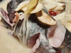 -咕嘟草帽鱼·牛奶一样的鲜鱼汤(包河万达广场创始店)