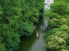 -动邦皮划艇·桨板·独木舟·团建户外运动俱乐部
