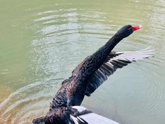 -宝岩生态观光园