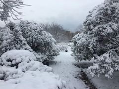 -白塘生态植物园