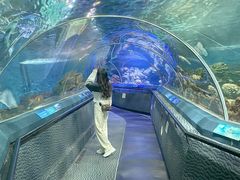 -上海海洋水族馆