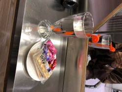 -MAGIC米几发型设计·羊毛卷