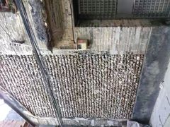 -小洲村