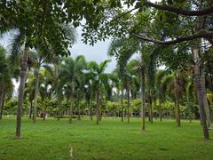 -白沙门生态公园