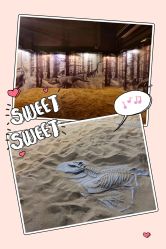 -恐龙探索乐园(磁器口店)