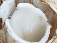 -东郊椰林