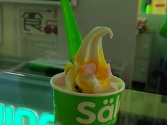 -Salud撒露欧洲冻酸奶(五道口购物中心店)