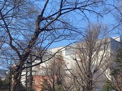 -北海道厅旧本厅舍(旧本庁舎)