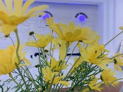 -Blue Concept Cafe&Farm·關於藍