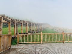 -白草畔自然风景区