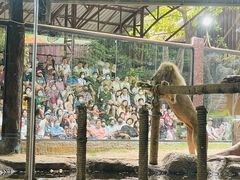 -清迈夜间动物园