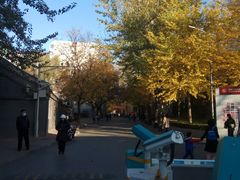 -中央民族大学