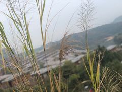 -清远熹乐谷温泉度假酒店