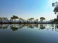 -无锡蠡湖国家湿地公园-蠡园