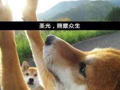 -四十四中游泳馆