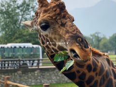 -西安秦岭野生动物园