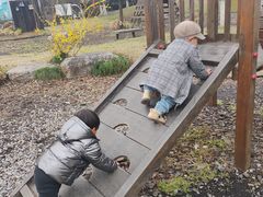 -田园东方蜜桃村的田野营地