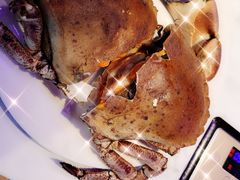 -半岛听涛蒸汽海鲜自助(K11店)