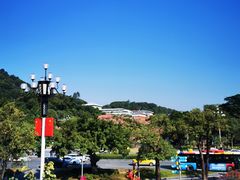 -玉树公园