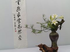 -重庆市江北嘴中央商务区中央公园