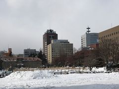 -札幌电视塔