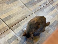 -拉威海鲜市场
