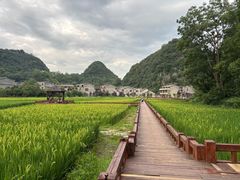 -高荡千年布依古寨旅游景区
