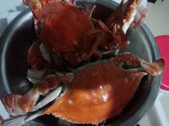 -宾朋海鲜特色美食餐厅·纯手工鲅鱼水饺(兴海路店)