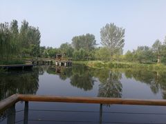 -东郊湿地公园