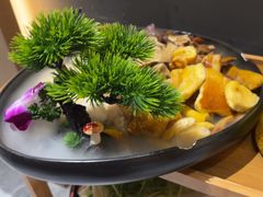 -一朵菌·野生菌探索家火锅(南亚店)