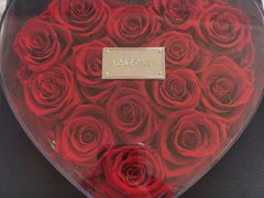 -ROSEONLY诺誓(沈阳万象城店)