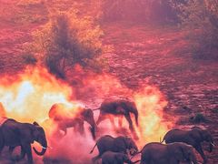 -罗红摄影艺术馆