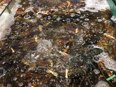 -海景壹号大酒店(惠钱路店)