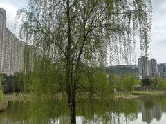 -沐仙湖湿地公园