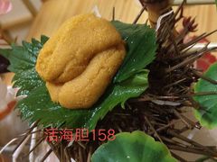 -鲔屋寿喜烧