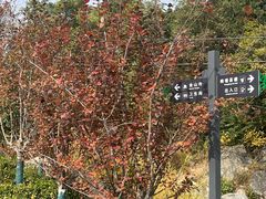 -阳台山自然风景区