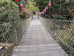 -海南热带雨林国家公园吊罗山景区