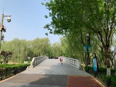 -大兴滨河森林公园