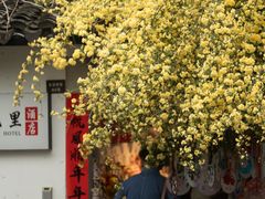 -苏州姑苏小院·东花里酒店