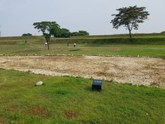 -盘龙城国家考古遗址公园