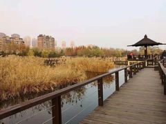 -前关湿地公园